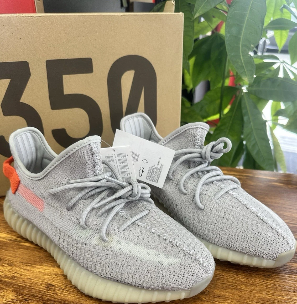 adidas gazelle silver green womens Adidas Yeezy Boost 350 V2 (Tail Light) at ShoeGrab