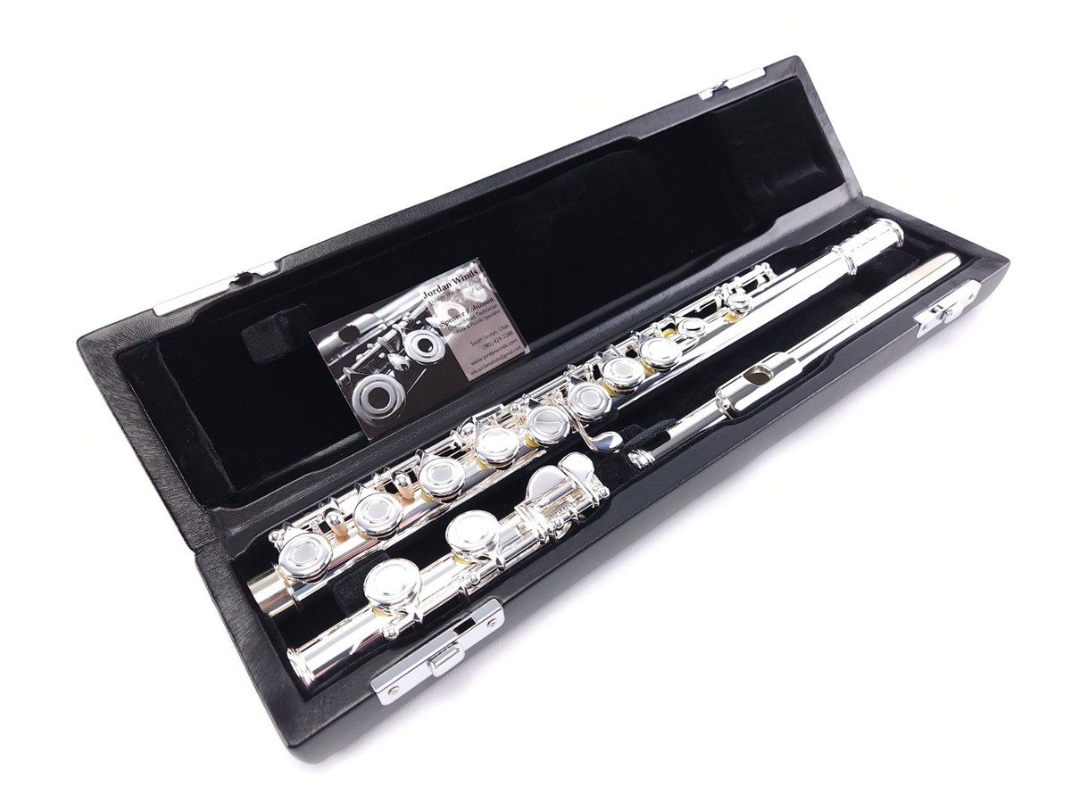 Di Zhao DZ-301 Open Hole Flute Silver Riser Premium Beginner