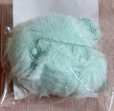 SEVENTEEN WORLD TOUR IN JAPAN NEW _ Local Bongbongee plush keyring