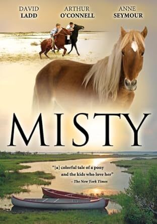 MISTY～ミスティ～ [DVD] 41PDY1CZRHL._UF894,1000_QL80_.jpg