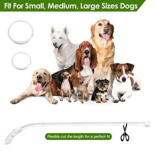 Pet Dog Collar LED Glow Night Safety Multi-Color Lighting Flash Light Dog Collar - Picture 6 of 22