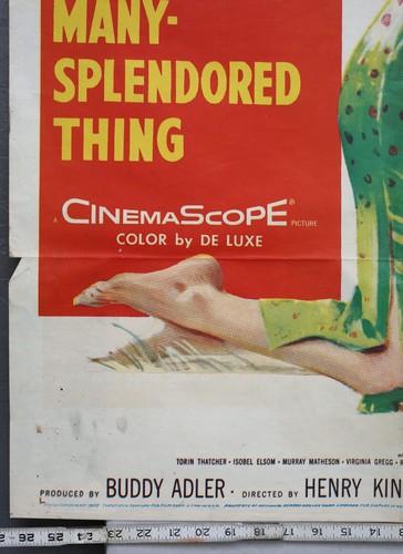 1955 Original Large Movie Poster Love Is A Many Splendored Thing William Holden - Picture 6 of 7