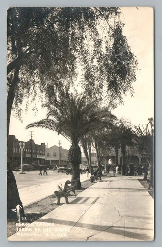 Heroes Garden MEXICALI Baja California RPPC Vintage Photo Foto Postcard 1940s - Foto 1 di 2