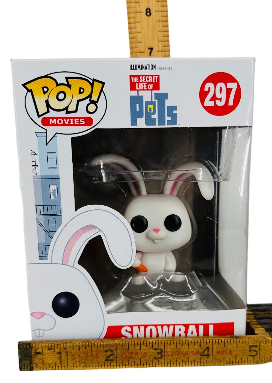 Foto 7 di 7