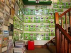 Foto 6 di 11