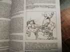 Bild 8 von 12