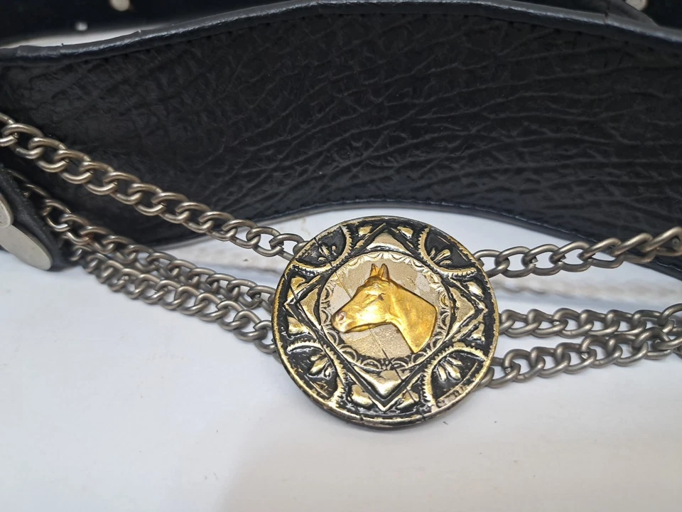 CINTURÓN MONEDA CABALLO CUERO RIÑÓN MOTO VAQUERO GAUCHO ARGENTINO DE COLECCIÓN 34-38 pulgadas Foto 2 de 4