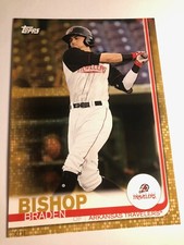 2019 Topps Pro Debut Jumbo 5x7 Braden Bishop Travelers 154 02/10