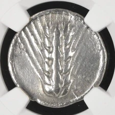 Lucania Metapontum AR Silver Stater NGC VF 510-470 BC Barley Ear Incuse