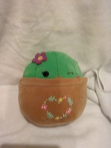 Cactus Squishmallow | eBay