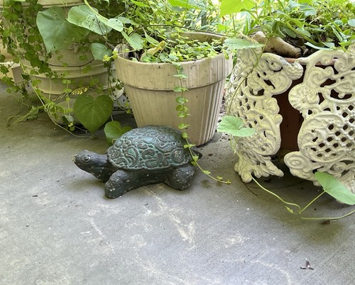 Vtg 10” Turtle-Concrete Cement Garden Statue-Ornate Shell-Old Chippy Green Paint - Picture 2 of 23