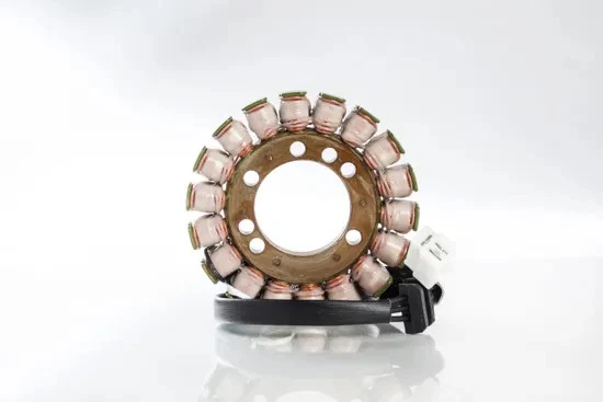 Generador Estator Alternador Rick's Kawasaki Versys 650 07-14 Foto 4 de 4