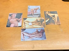 SALE!  5  Pin-Up Art  Sexy Vintage Type Girl  Excellent Condition  APROX 6"x 4''
