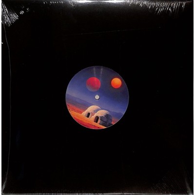 Various Arstsis / TRANSIENT STATES FEEDBACK / Mixcult Records / MCRV017 / 12 In
