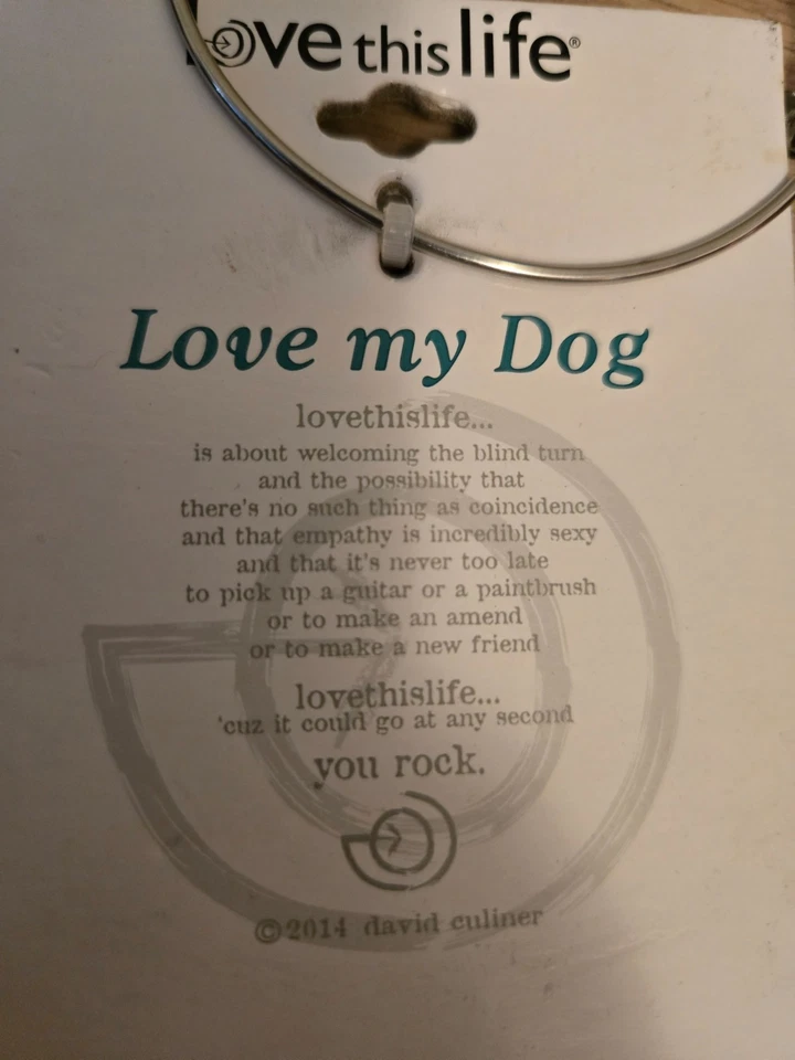 PULSERA LOVE THIS LIFE (I LOVE MY DOG) PULSERA CON DIJE, PLATEADA nueva con etiquetas $50 Foto 4 de 4