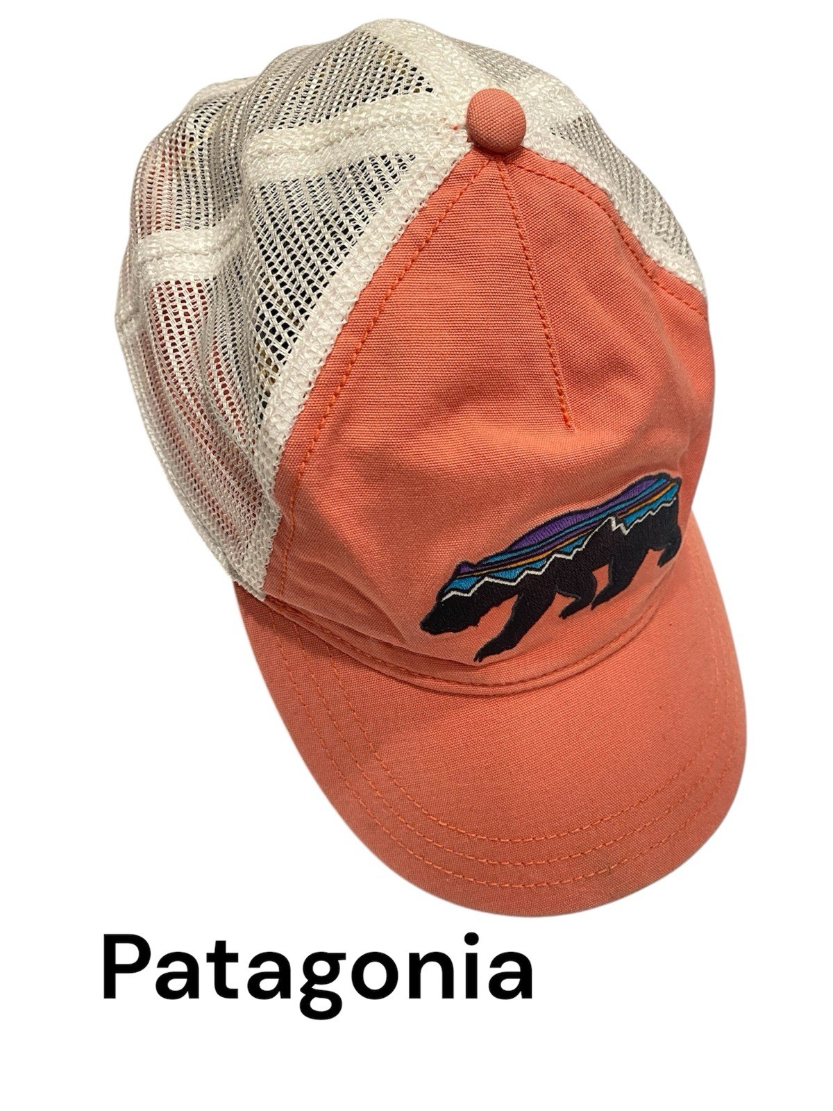  Patagonia Women's Fitz Roy Bear Layback Trucker Hat