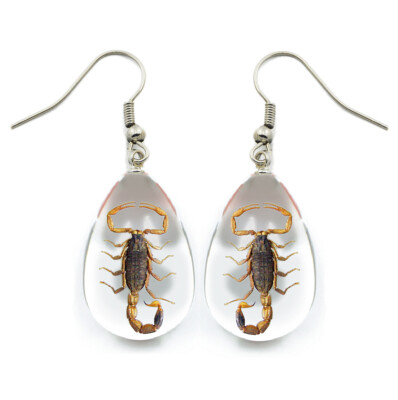 #ad REAL GOLD SCORPION EARRINGS ACRYLIC STERLING SILVER PRESERVED SPECIMENS $15.00