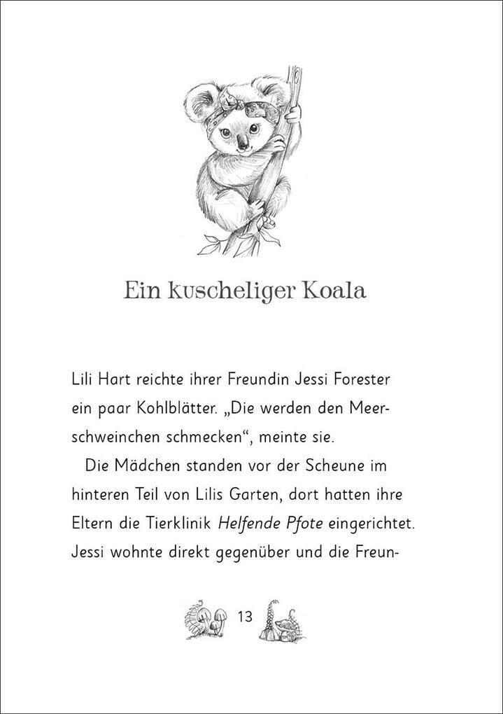 Thumbnail - Die Magischen Tierfreunde (band 17) - Kiki Koala Und Die Magische