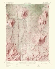 Topographical Map - Bray California Quad - USGS 1963 - 23 x 28.72