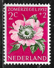 HICK GIRL-MINT NETHERLANDS STAMP   SC#B238  1952  FLOWER ISSUE   C789