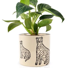 5 Inch Ceramic Planters for Indoor Plants, Funny Small Plant Pots with Draina...