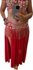 Professional Belly dance costume/ Custom-made luxurious belly dancer outfit