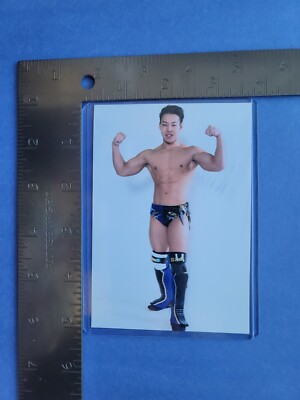 Koju Takeda Pro Wrestling Photograph 3.5×5'' Portrait 666 Pheromones DDT BJW