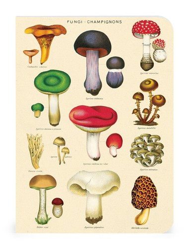 Cavallini - Set of 3 Mini Notebooks - Le Jardin - Lined, Blank & Graph Interiors - Picture 3 of 6
