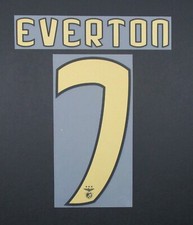 BENFICA 2020 2021 OFFICIAL EVERTON 7 HOME PLAYER SIZE NAMESET