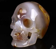 Nice 5.1" Carnelian Carved Crystal Skull,Super Realistic, Crystal Healing