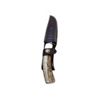 Original Muela Ruko Handmade Fixed Stag Handle Collectable Knife With Leather... — photo 1