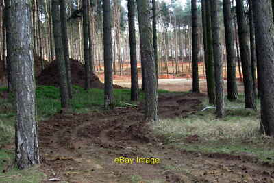 Photo 6x4 Workings in the woods Millbrook  c2013