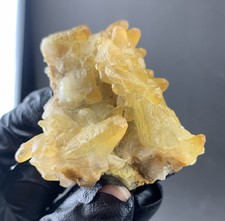 Natural Dog Tooth Calcite Crystal Mineral Specimen. Dragon Scale with ironoxide