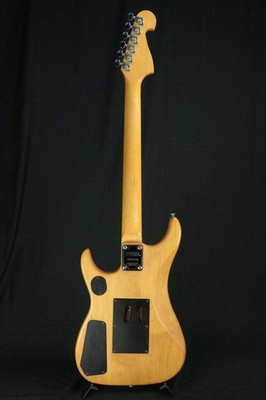 Washburn N2-NUNO Natural E-Gitarre gebraucht