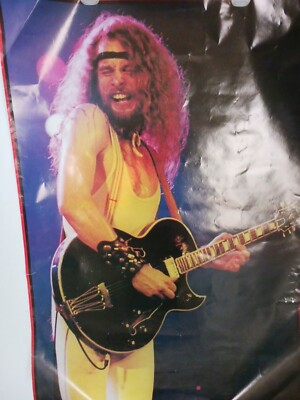 Original Vintage 1978 Ted Nugent 23.5 x 33 Poster England | eBay
