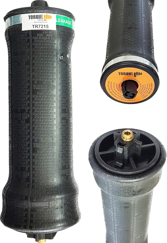 Confezione 2 Molle per Sacco a Pelo Cab Air per Freightliner Century Class ST (sostituire - Foto 6 di 6