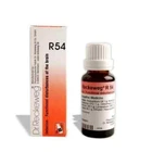 Dr. Reckeweg German Homeopathy R54 Memory Drops - 22 ml