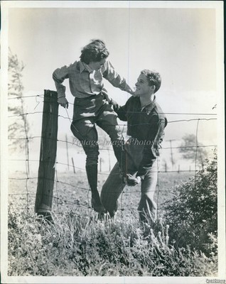 Love Scenes Couple Climbing Wirephoto Fence Field Helping Each Other 7x9