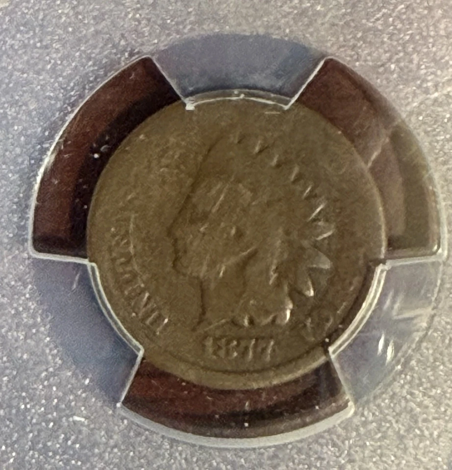 1877 Indian Head Cent - Strong Date-  PCGS Graded AG03 - Image 3 of 4