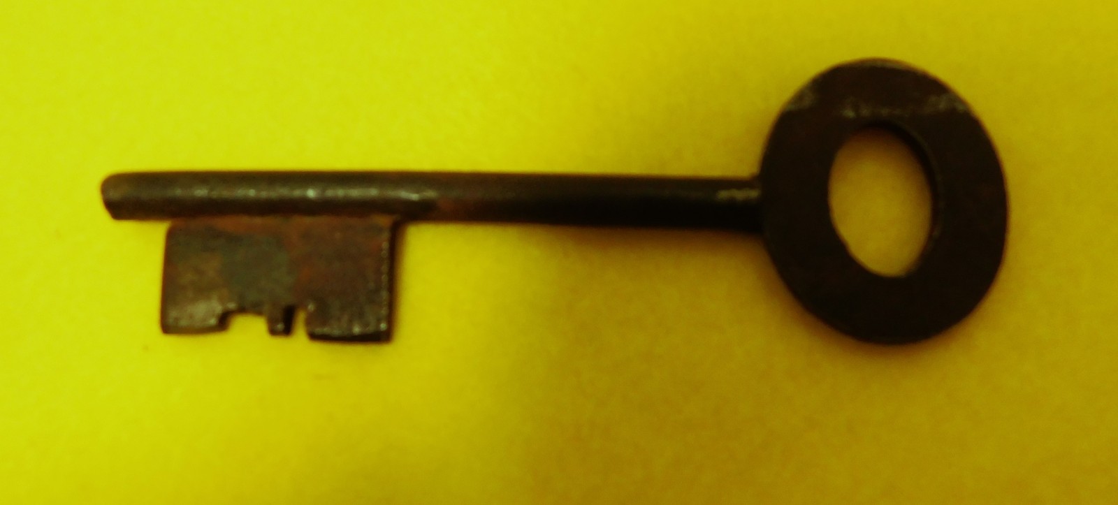 Picture 7 of 7