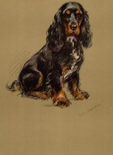 1940s Springer Spaniel Print Wall Art Decor Lucy Dawson Art Illustration 5434d