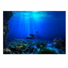 Acquario Sfondo HD Sottomarino Reef Foto Carta da parati Acquario Pesce Mare Mur
