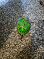 Green Stained Glass Turtle Accent Lamp, Corded Electric, Switch Control