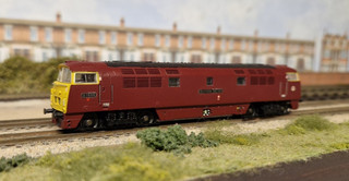 Dapol N gauge Class 52 D1056 Western Sultan BR Maroon 2D 003 003