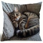 1 Piece Tabby Cat Pillow Cover Reversible Pattern Sofa Decoration