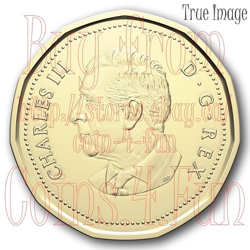 O Canada 2025 - 5-Coin Gift Card Set - $2, Unique Loonie $1, 25c, 10c, 5c - Picture 4 of 12