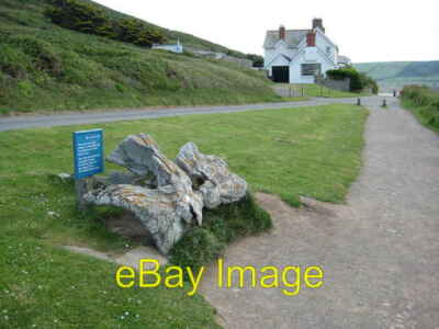 Photo 6x4 Whale bone Croyde Bay  c2009