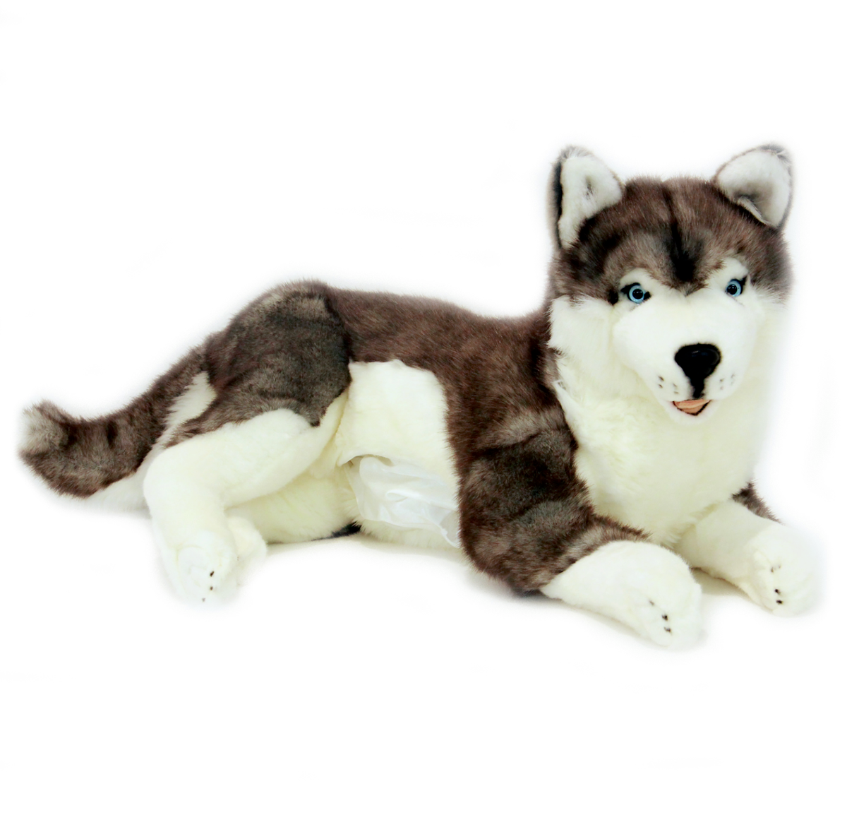 ❤️BOCCHETTA Siberian Husky ROCKET Extra Large 62cm 24