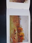 Bild 6 von 8