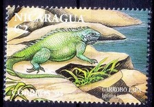 Spinytail Iguana, Garrobo Lapa, Reptiles, Nicaragua 1994 MNH  